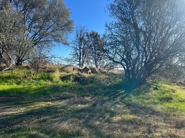 34421 Buckaroo Ln, Auberry, CA 93602 - photo 51