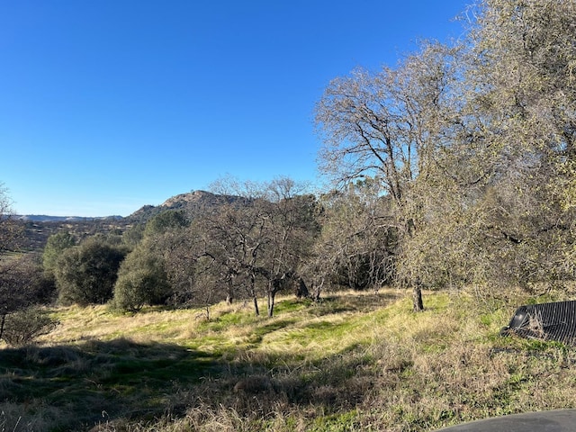 property view of mountains featuring a forest view