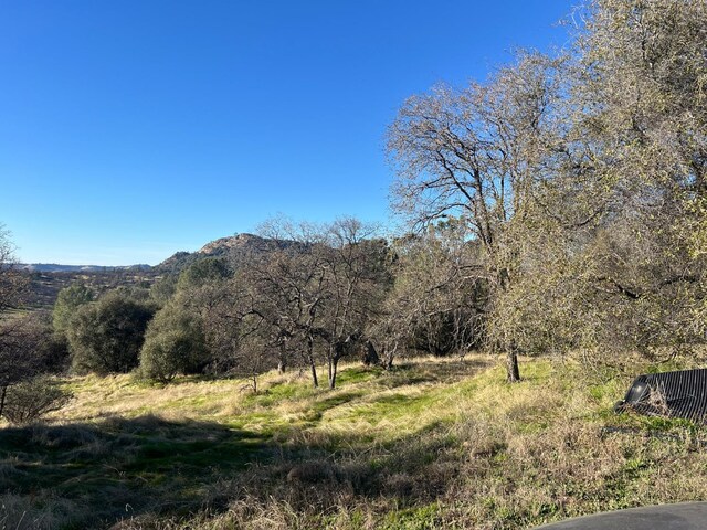 34421 Buckaroo Ln, Auberry, CA 93602 - photo 50