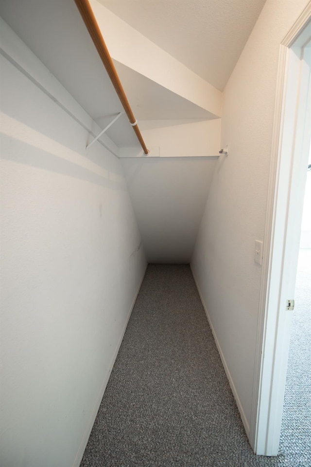 spacious closet with carpet flooring and vaulted ceiling