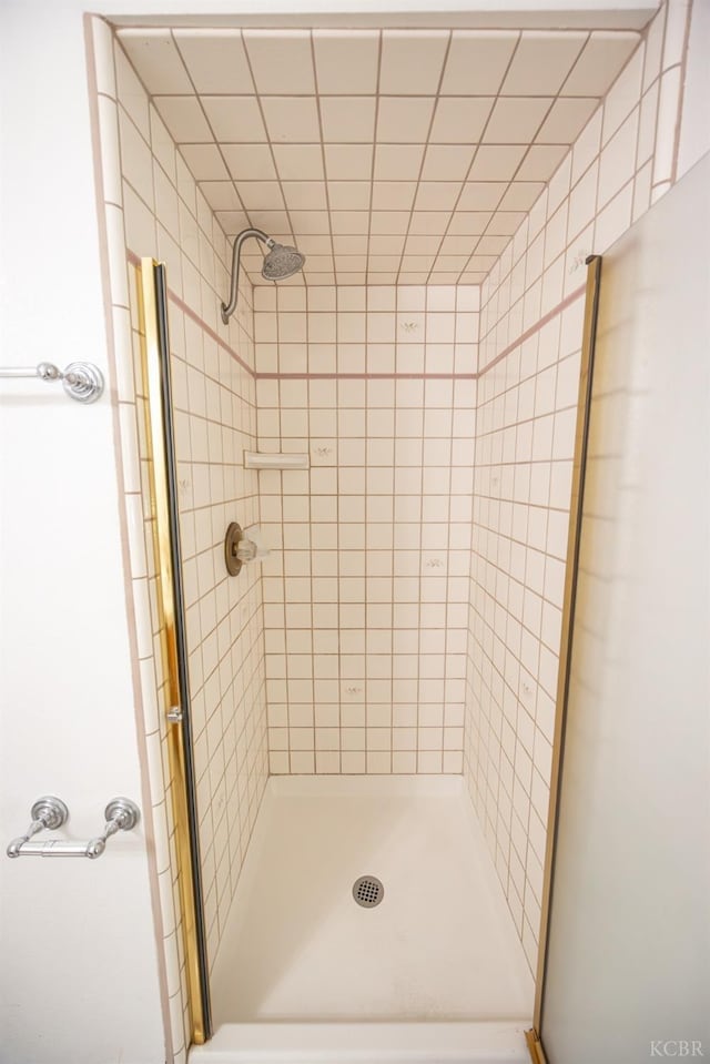 bathroom featuring a shower stall