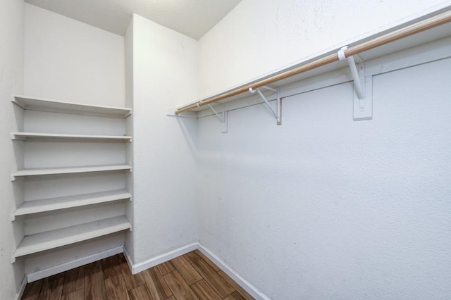 spacious closet with hardwood / wood-style floors