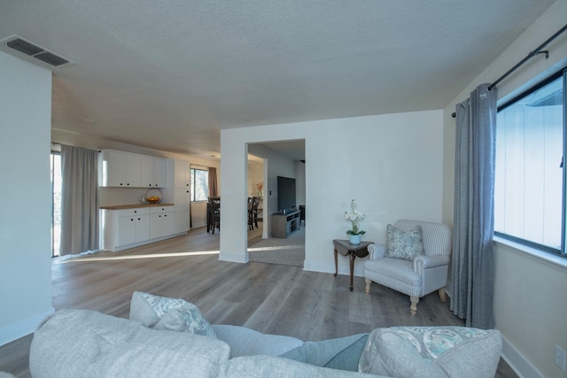 living room with light hardwood / wood-style floors and a textured ceiling