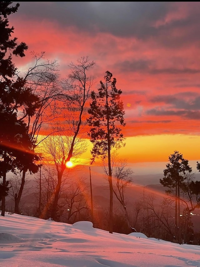 view of snow covered land