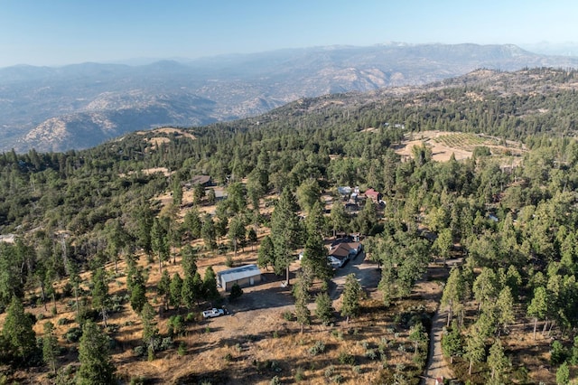 birds eye view of property featuring a mountain view