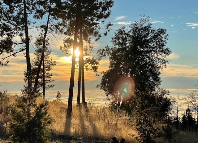 view of nature at dusk