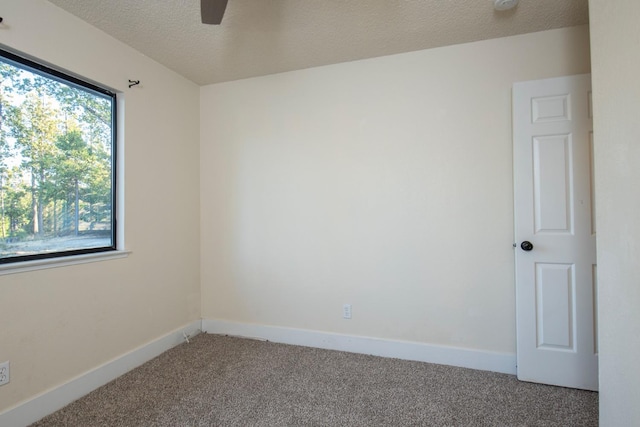 spare room featuring a healthy amount of sunlight, a textured ceiling, and carpet flooring