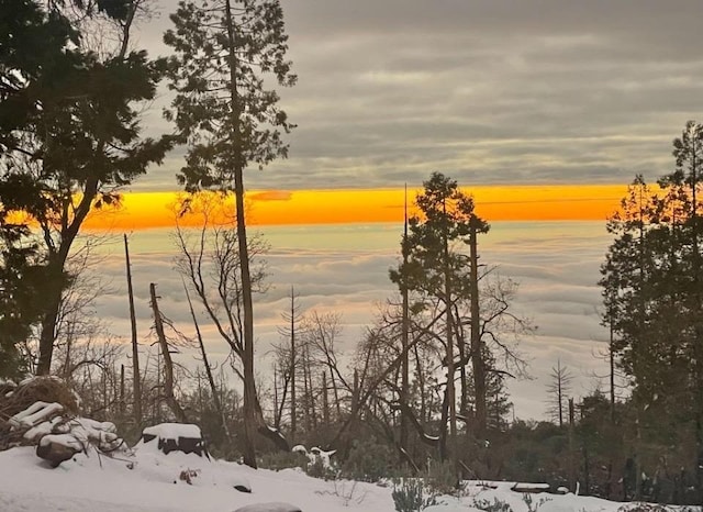 view of snow covered land