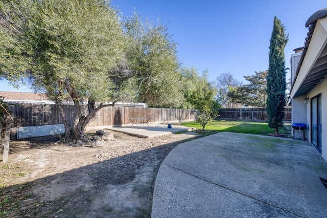 view of yard featuring a patio area