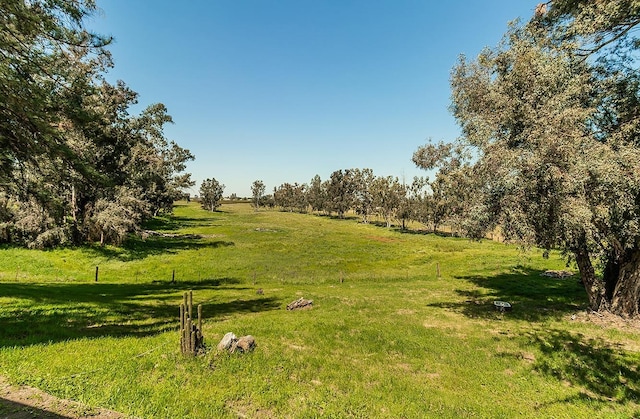 view of nature featuring a rural view