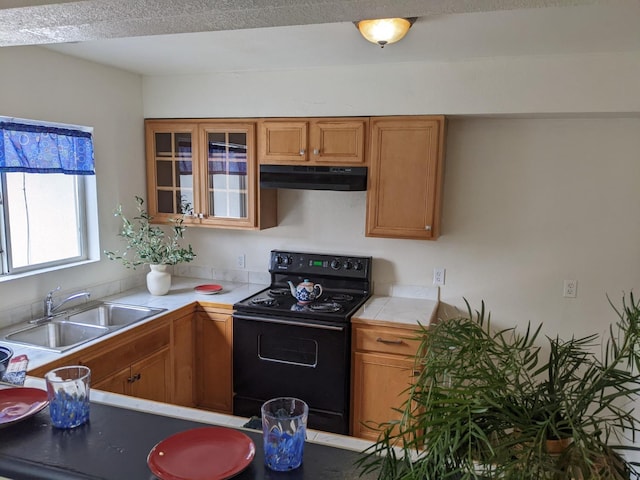 kitchen featuring sink and black range with electric cooktop