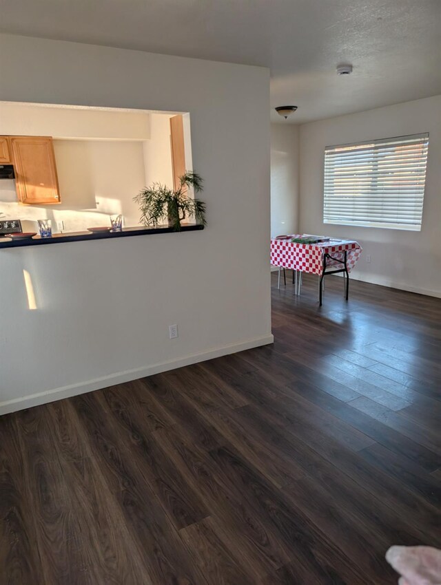 interior space with dark hardwood / wood-style floors