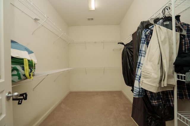 spacious closet with carpet flooring