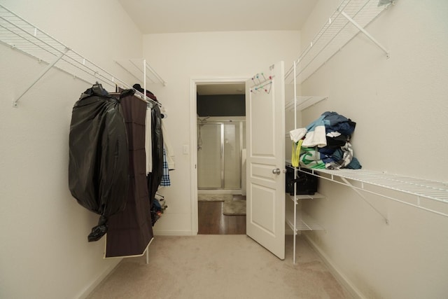 spacious closet featuring light colored carpet