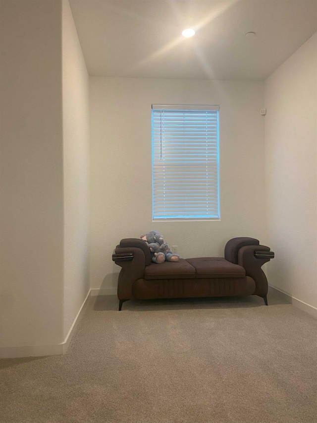 sitting room with carpet