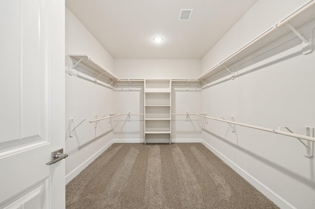 spacious closet with carpet floors