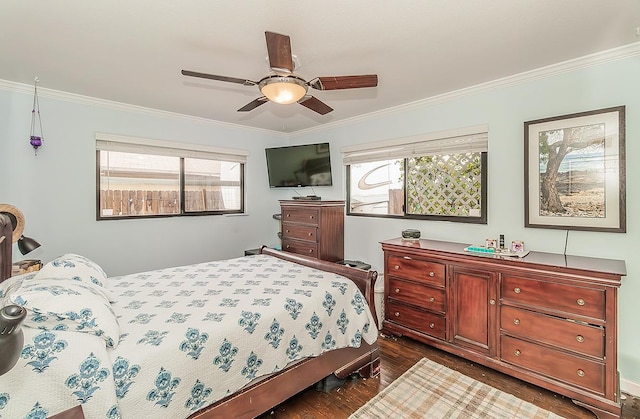 bedroom featuring dark wood-style floors, ceiling fan, multiple windows, and crown molding