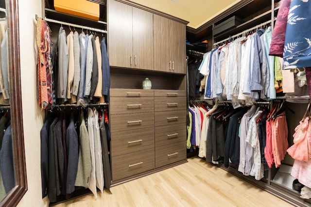 walk in closet featuring light hardwood / wood-style floors