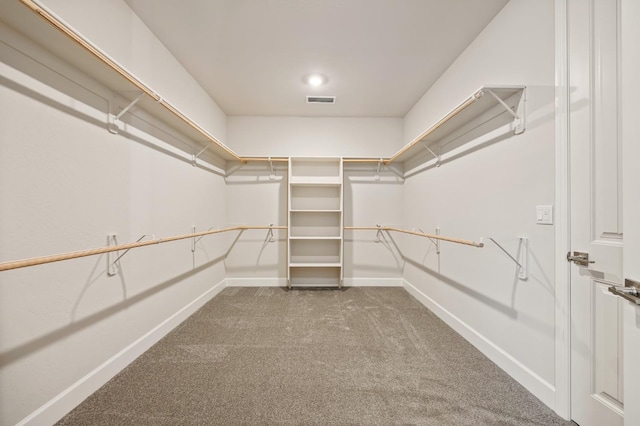 spacious closet featuring carpet flooring