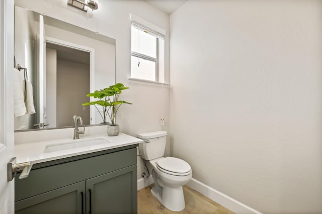 bathroom featuring toilet, vanity, and wood-type flooring