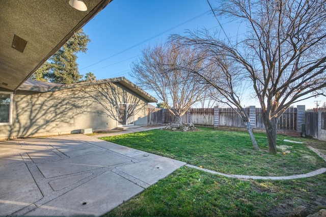 view of yard featuring a patio