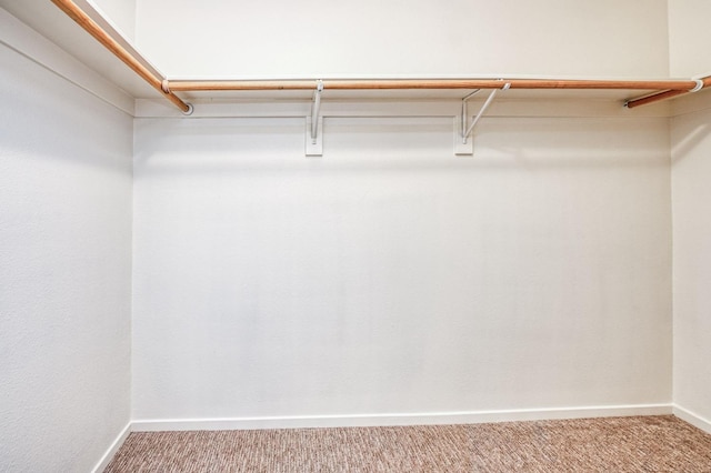 walk in closet with carpet