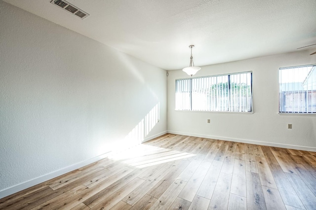 spare room with light hardwood / wood-style floors and plenty of natural light