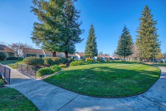 view of community featuring a yard