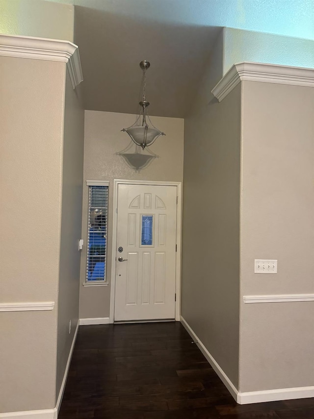 foyer entrance with dark hardwood / wood-style floors