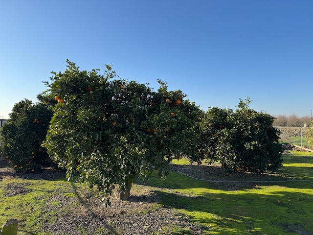 view of yard featuring a rural view