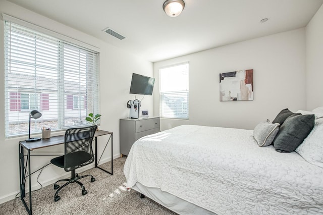 carpeted bedroom with multiple windows