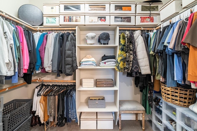 spacious closet with carpet