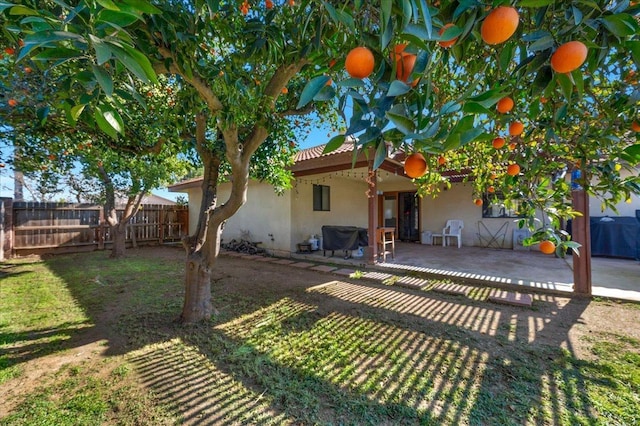 back of property with a patio and a lawn