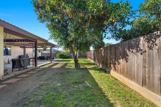 view of yard featuring a patio