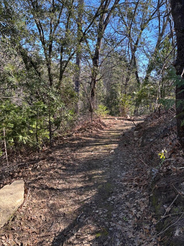 view of local wilderness