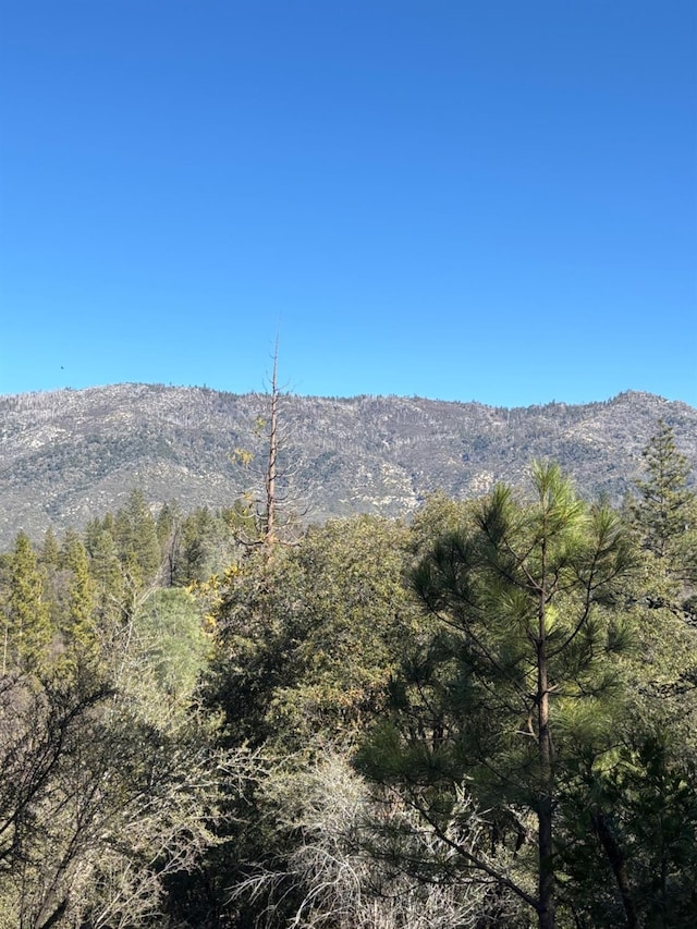 mountain view featuring a view of trees