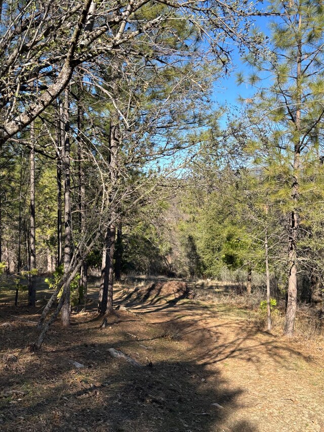 view of local wilderness featuring a forest view