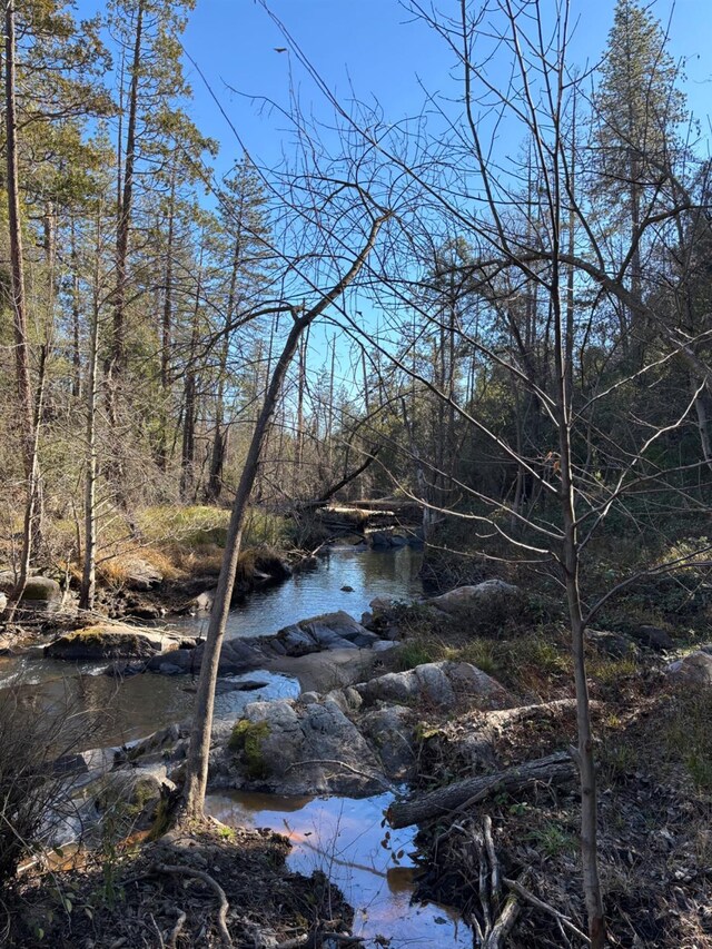 water view featuring a forest view