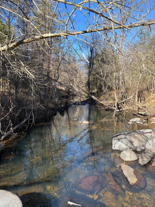 view of water feature