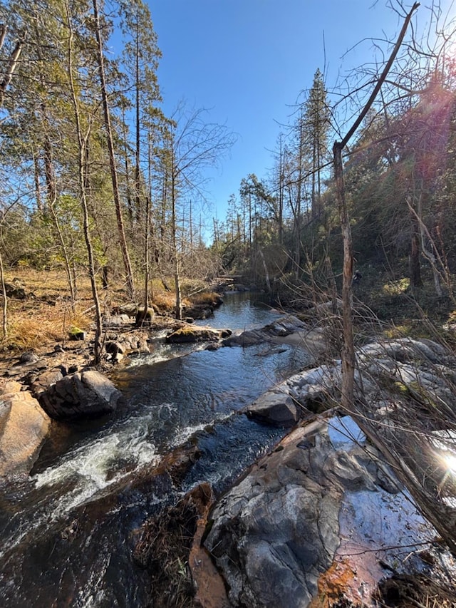 view of water feature with a forest view