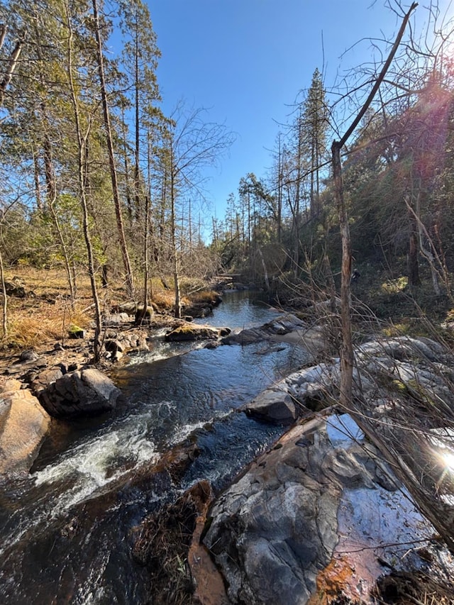 view of local wilderness