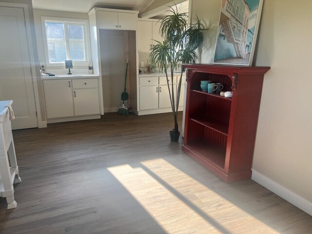 interior space with wood-type flooring and white cabinetry