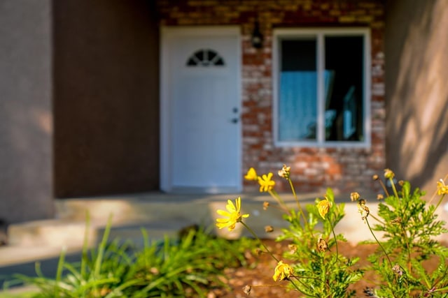 property entrance featuring stucco siding