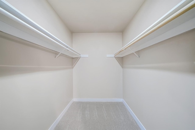 walk in closet with carpet floors