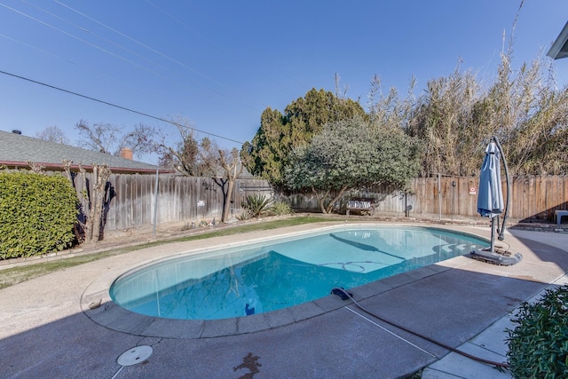 view of pool with a patio area, a fenced backyard, and a fenced in pool