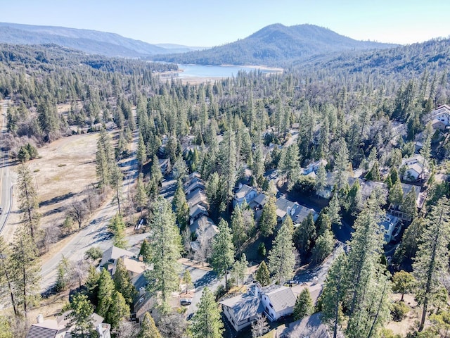 birds eye view of property featuring a water and mountain view