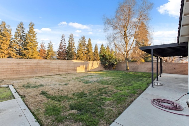 view of yard featuring a patio