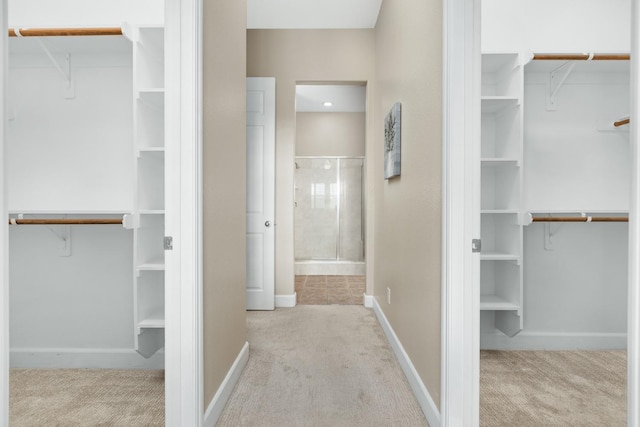 spacious closet featuring light colored carpet