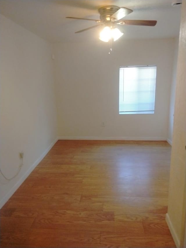 unfurnished room featuring light hardwood / wood-style floors and ceiling fan