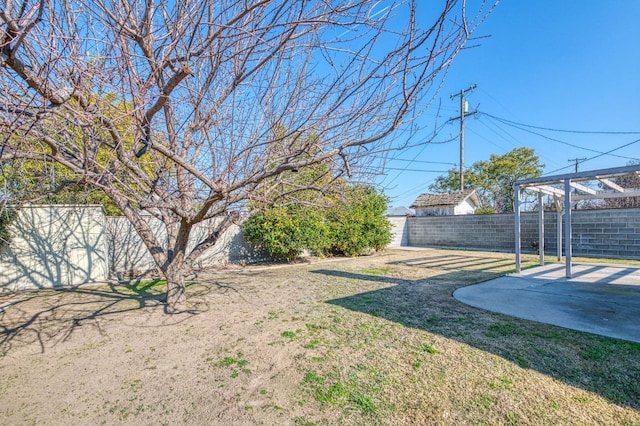 view of yard with a patio area